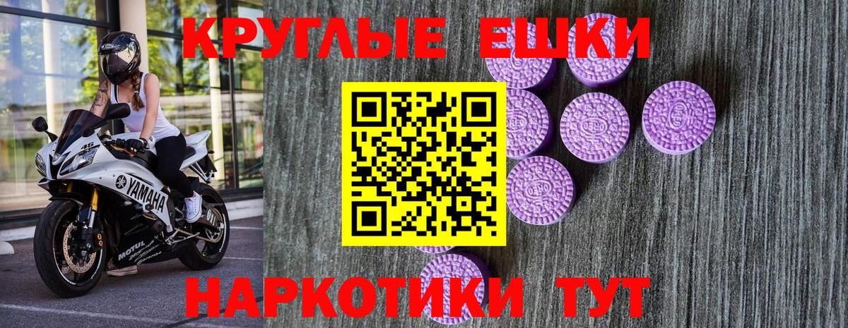 ЭКСТАЗИ ешки  Экстази бентли  ЭКСТАЗИ  Всеволожск  Вход с VPN 
