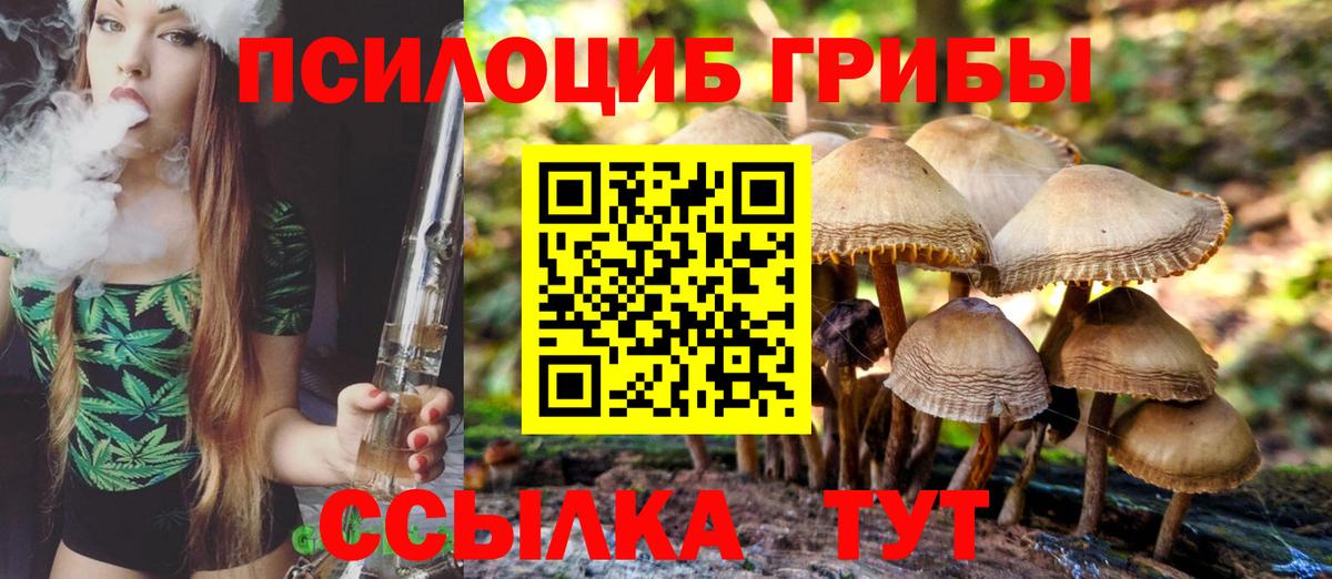 Псилоцибиновые грибы ЛСД  Галлюциногенные грибы мухоморы  купить наркоту  Всеволожск  Вход с VPN 