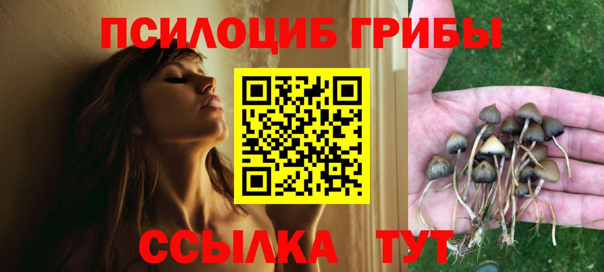 Галлюциногенные грибы Cubensis Всеволожск